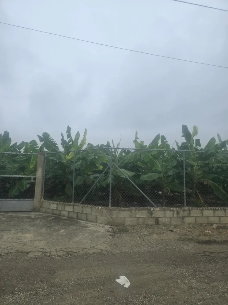 Terreno en venta en Licey al Medio – foto 3