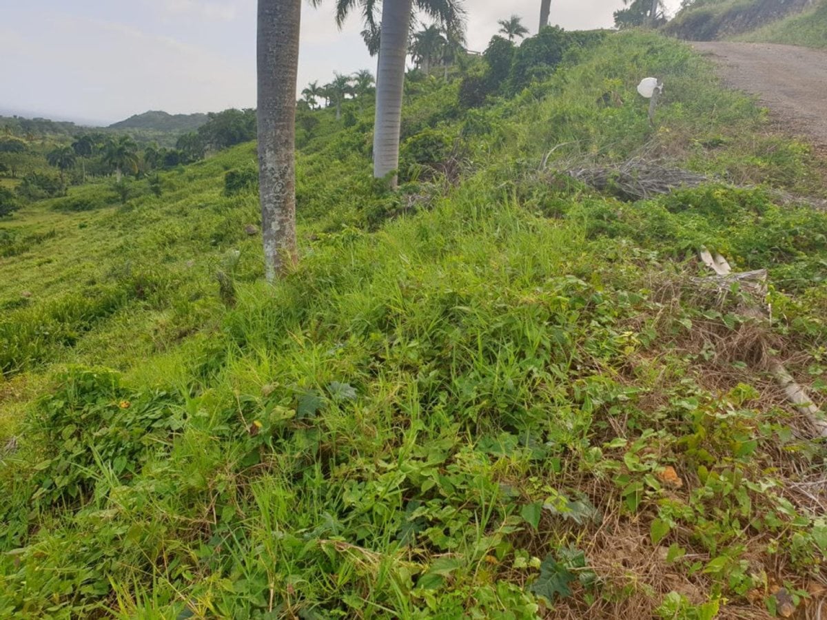 Terreno en venta en Cabrera, Loma Alta, Los Canjilones – foto 4