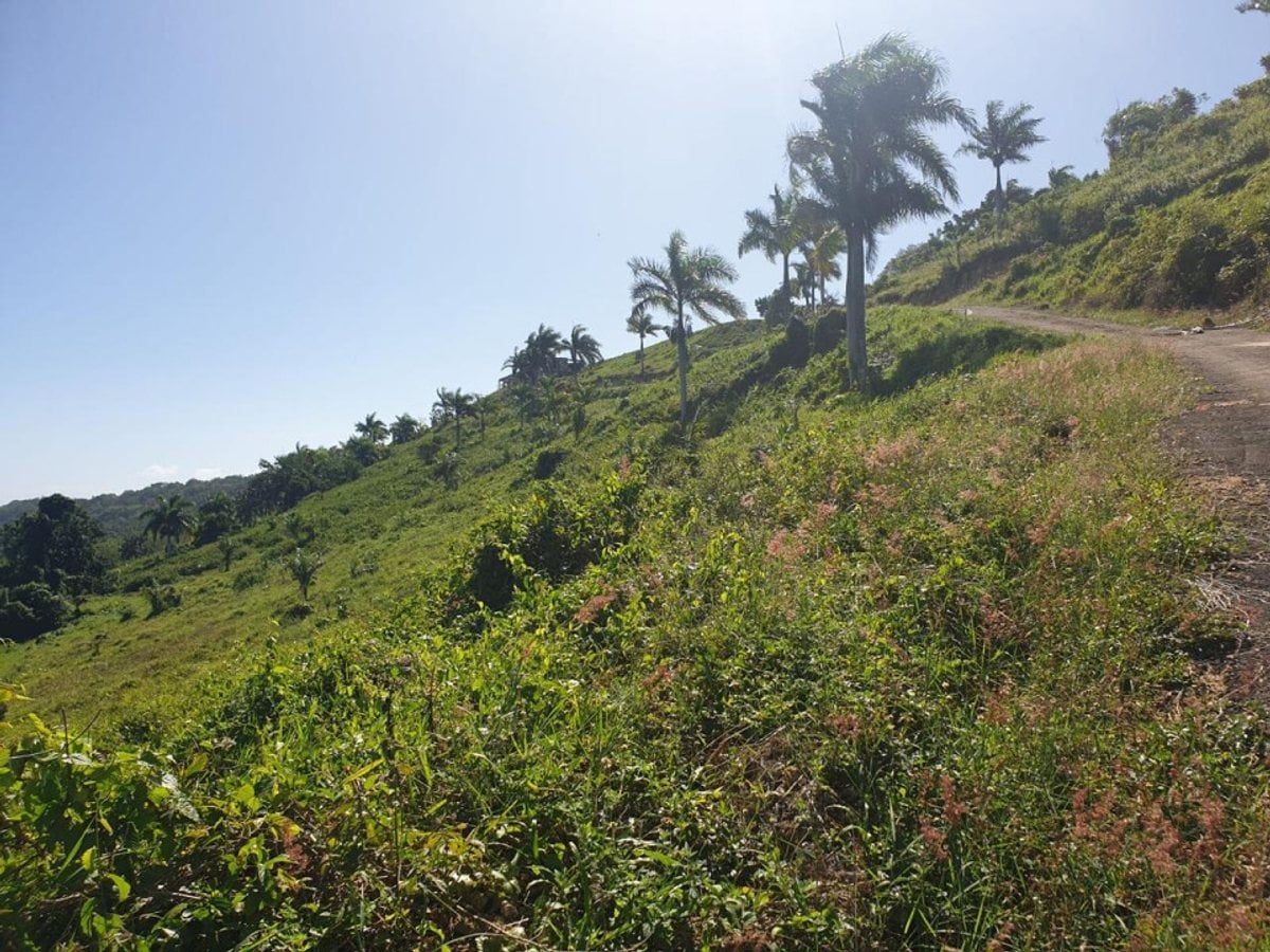 Terreno en venta en Cabrera, Loma Alta, Los Canjilones – foto 7