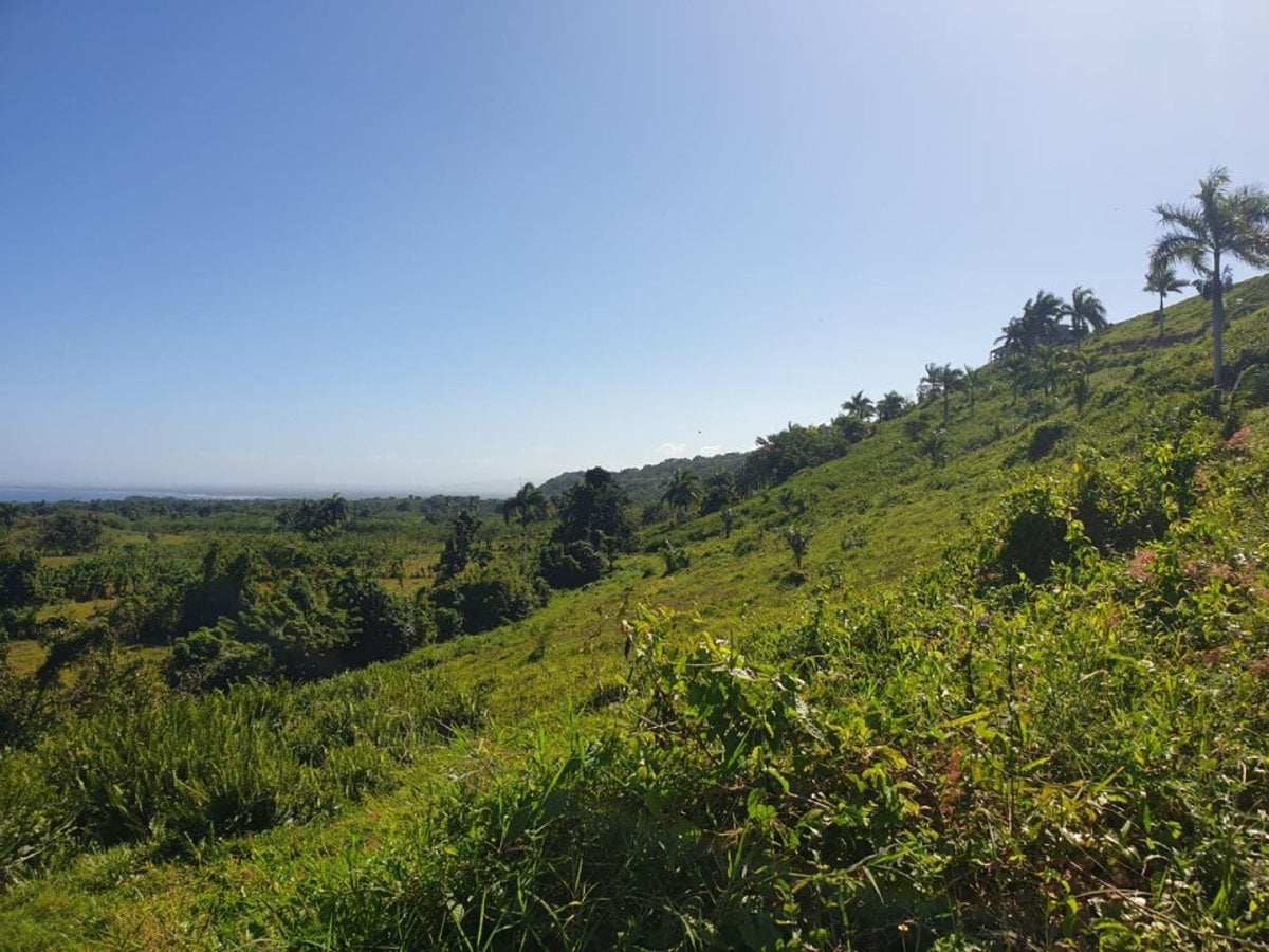 Terreno en venta en Cabrera, Loma Alta, Los Canjilones – foto 6