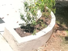 Casa en alquiler en Arroyo Hondo – foto 7