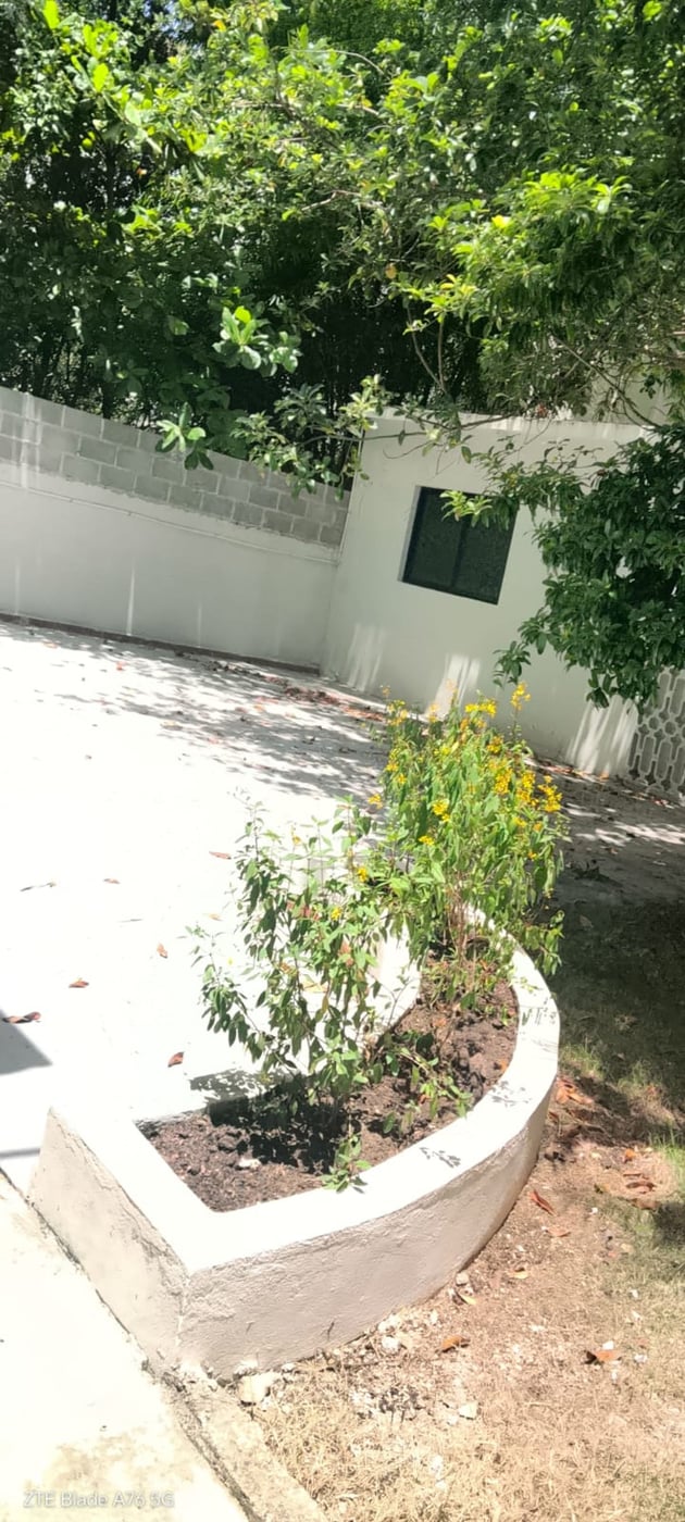 VENTA – foto 7