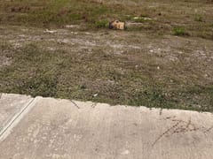 Solar en venta en Cap Cana, 1,658 m² – foto 1