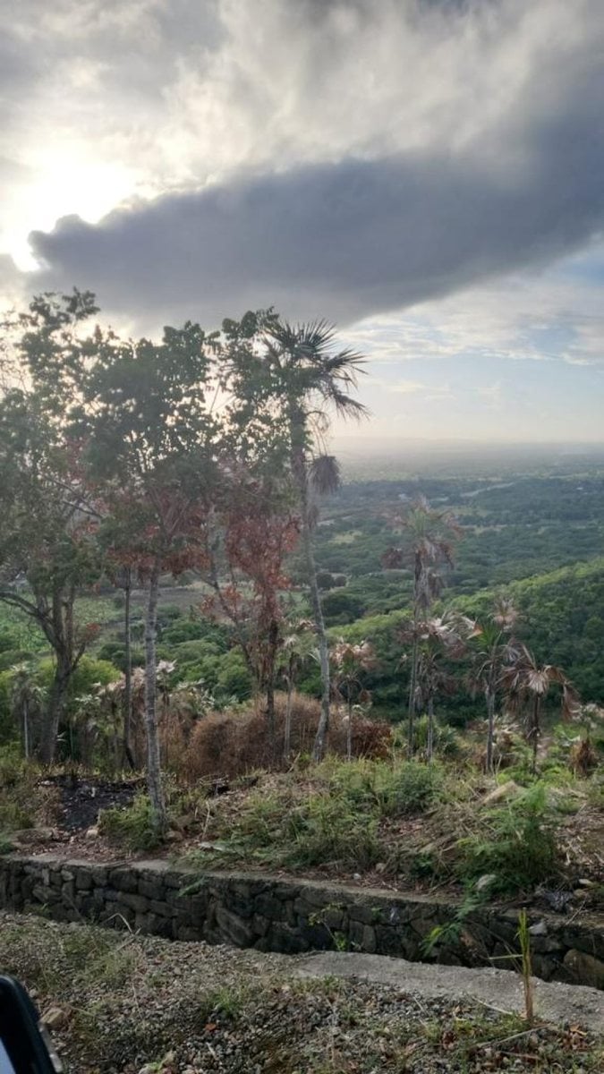 Terreno en Gurabo Arriba, Santiago – foto 3