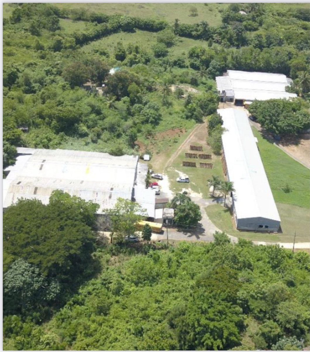 Venta de Terreno en el Km 22 de la Carretera Mella – foto 1