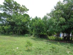 Solar en venta en Pedro Brand – foto 4