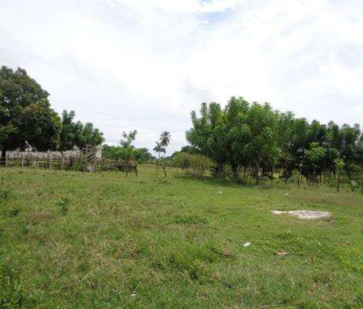 Solar en venta en Pedro Brand – foto 1