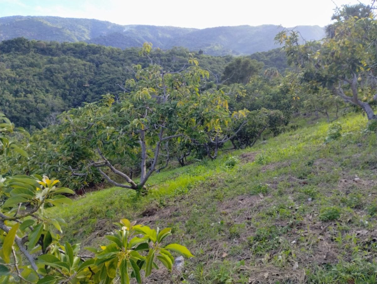 Finca En Enriquillo, Barahona – foto 6