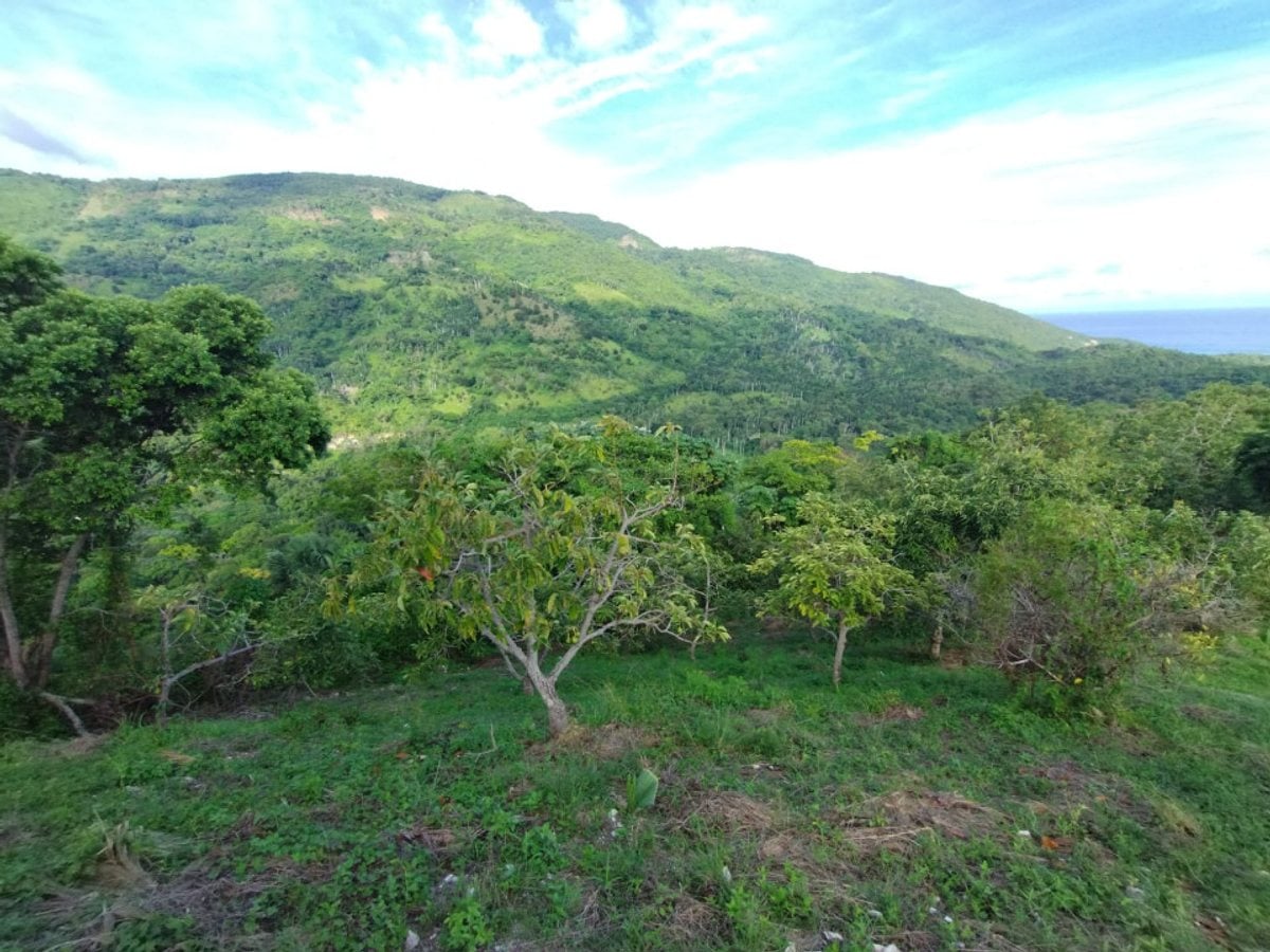 Finca En Enriquillo, Barahona – foto 4