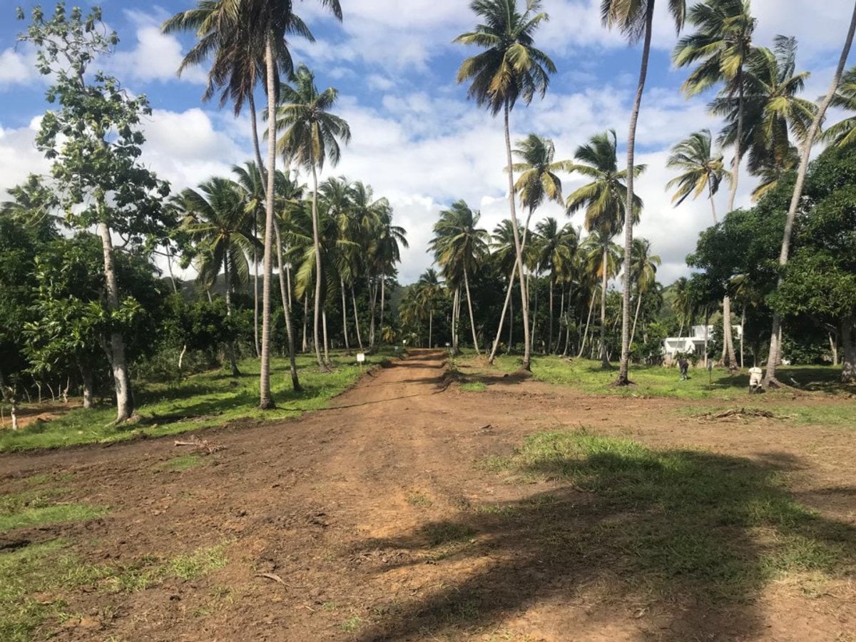 Terreno en Santa Bárbara, Samaná – foto 4