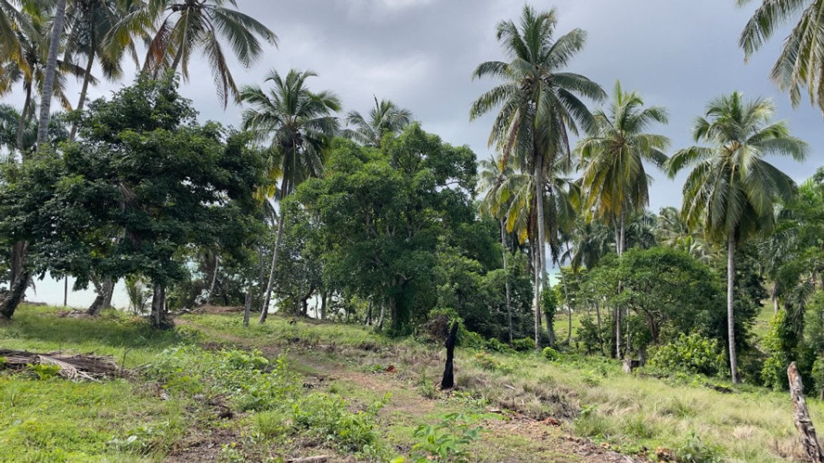 Terreno en Santa Bárbara, Samaná – foto 10