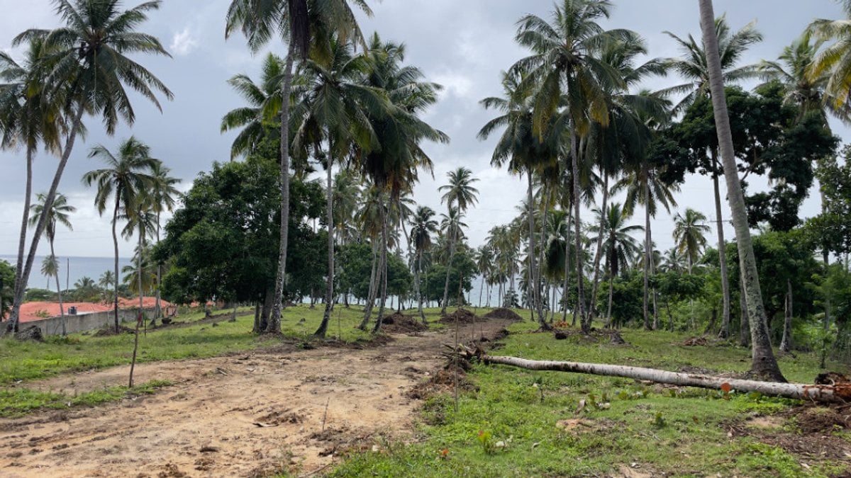 Terreno en Santa Bárbara, Samaná – foto 6