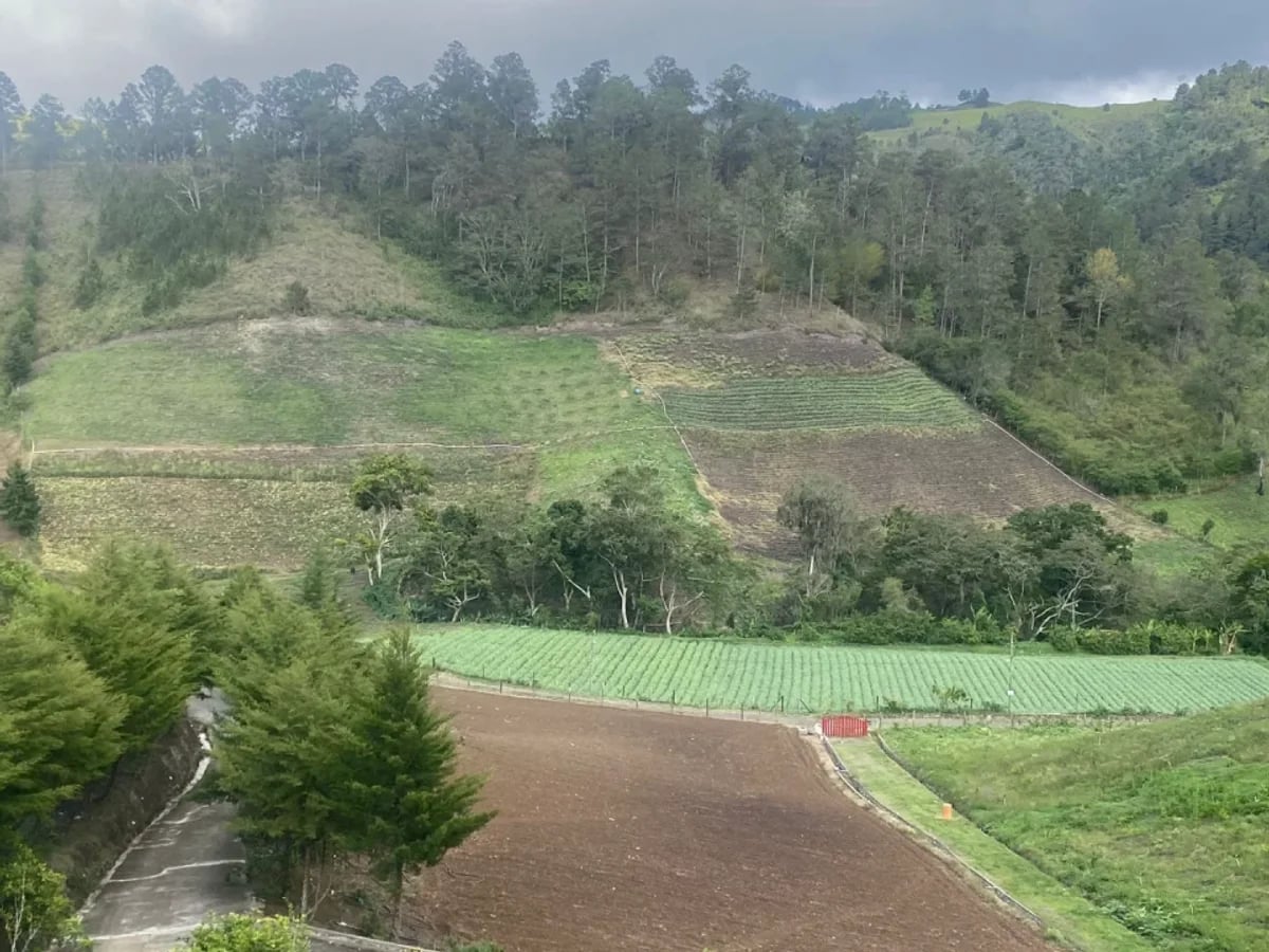Terreno en venta en Constanza, Sector Palero Almonte – foto 1