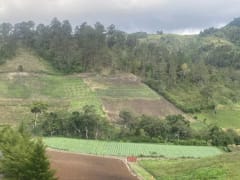 Terreno en venta en Constanza, Sector Palero Almonte – foto 3