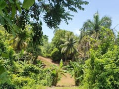 Terreno en venta en Bella Vista, Samaná – foto 3