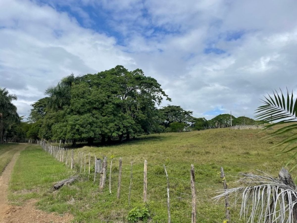 Terreno en Pedro Brand, El Pedregal – foto 4
