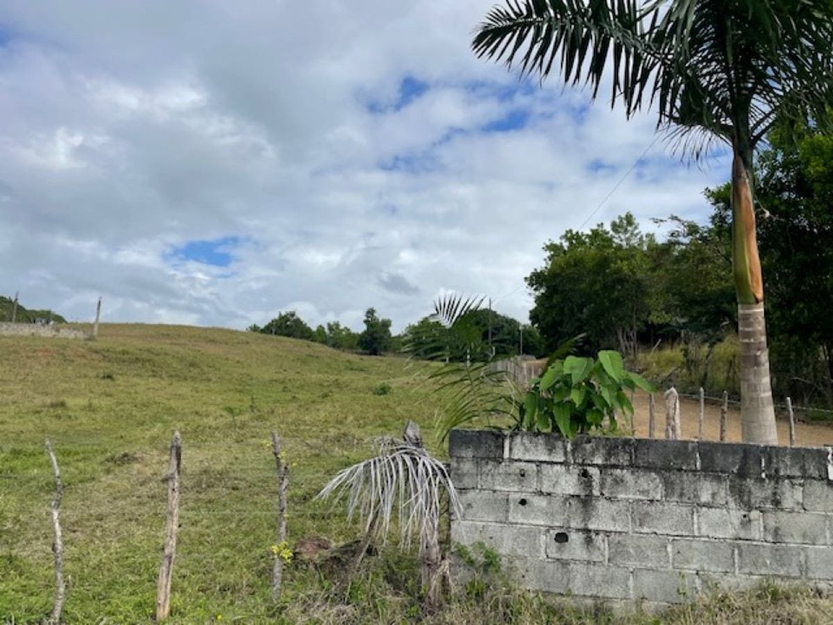 Terreno en Pedro Brand, El Pedregal – foto 3