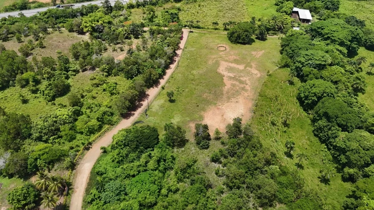 Terreno en Pedro Brand, El Pedregal – foto 7