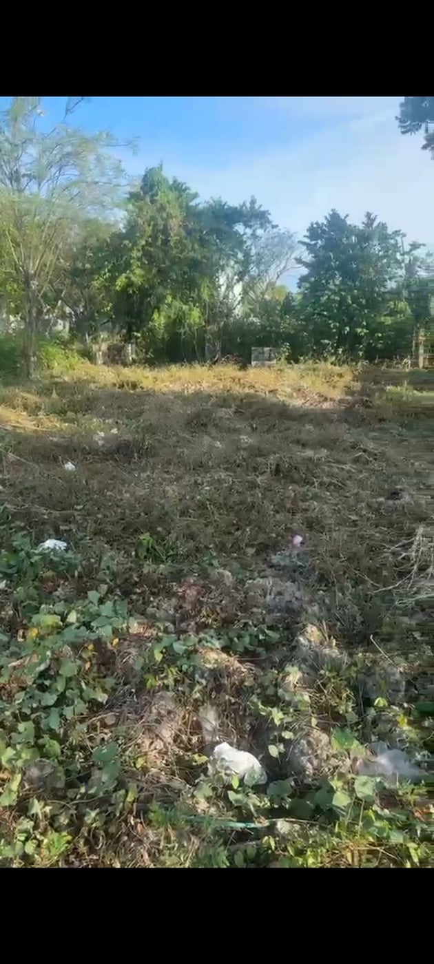 TERRENO EN VENTA – AV. ECOLÓGICA – foto 1