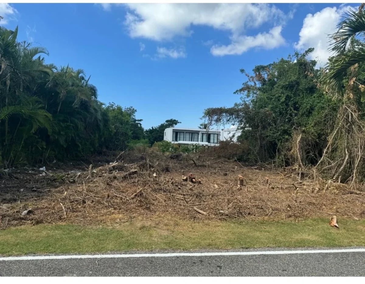 Terreno en Playa Nueva Romana, San Pedro – foto 4
