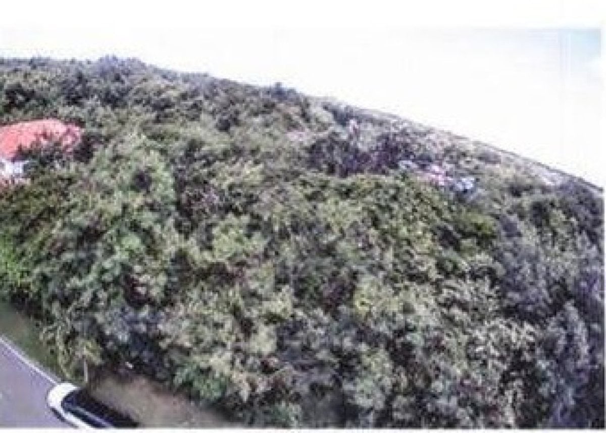Terreno en Playa Nueva Romana, San Pedro – foto 3
