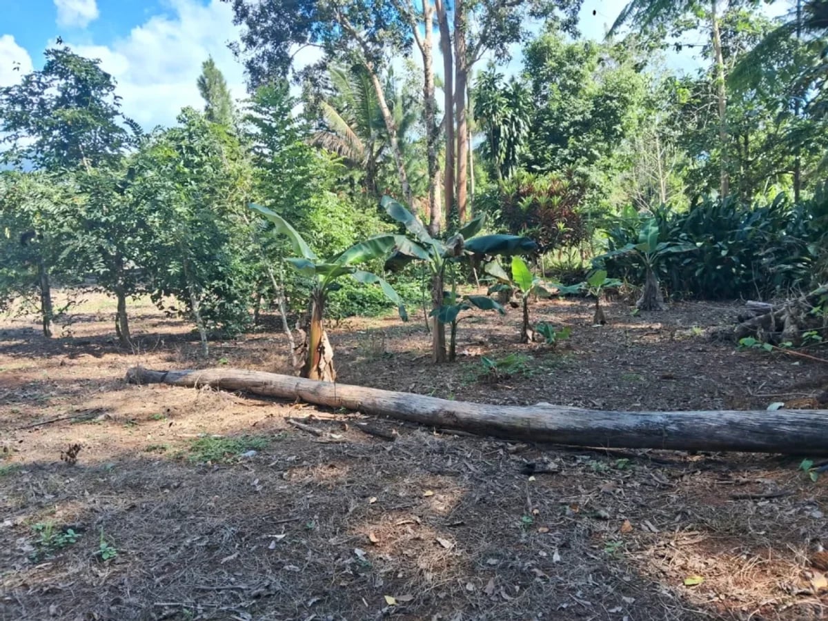 Vendo Villa Vacacional en Villa Altagracia – foto 3