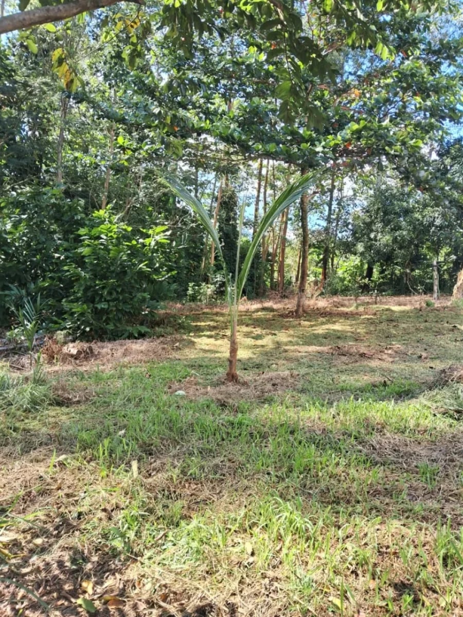 Vendo Villa Vacacional en Villa Altagracia – foto 4
