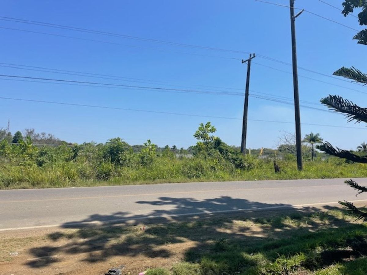 Terreno en Pedro Brand, Sector La Cuaba – foto 2