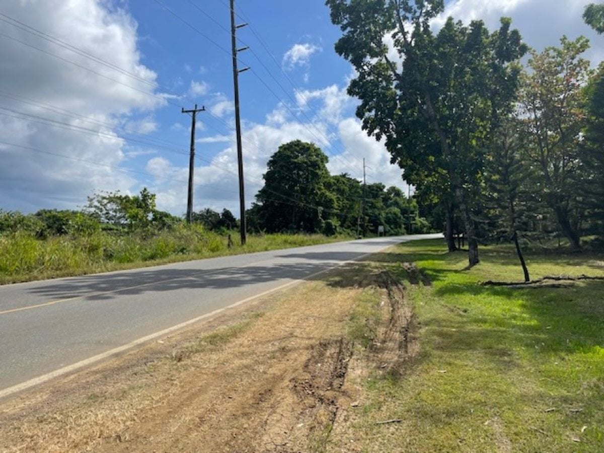 Terreno en Pedro Brand, Sector La Cuaba – foto 3