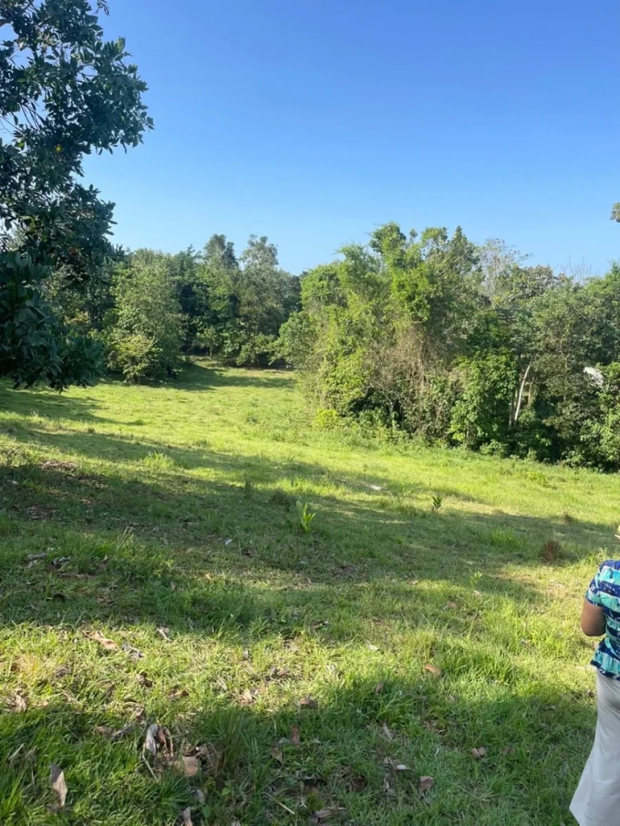 Terreno en venta en Los Mogotes, Villa Altagracia – foto 1
