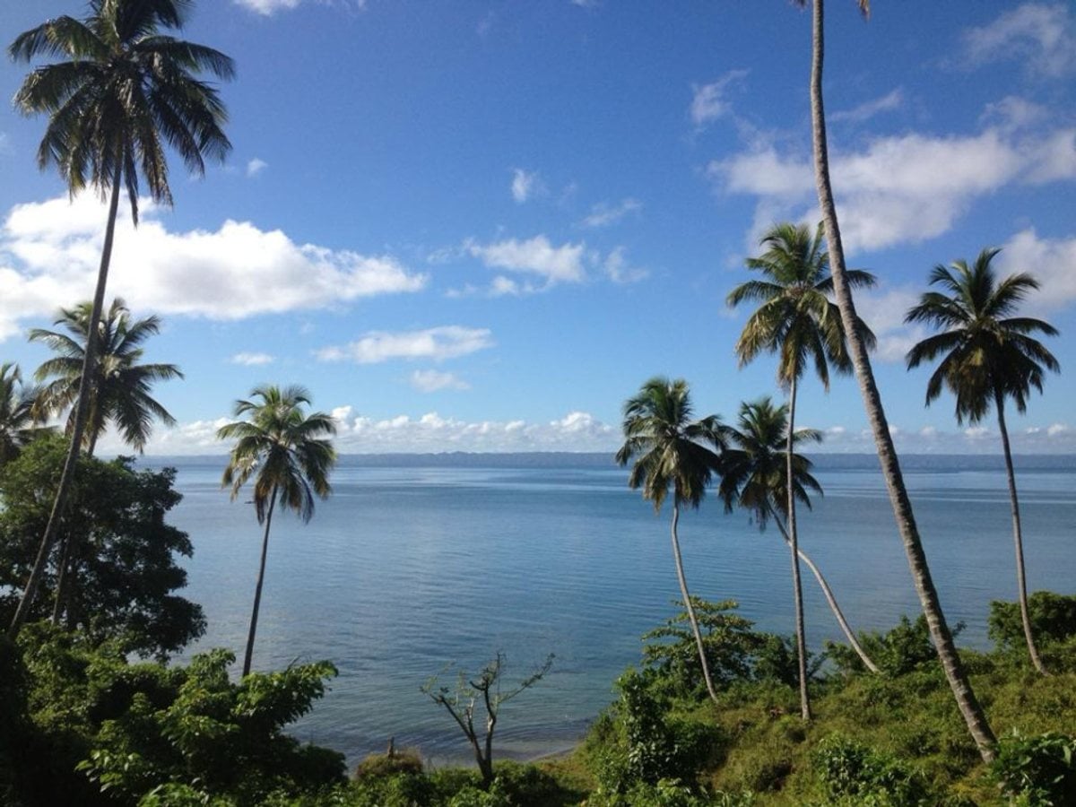 Terreno en Santa Bárbara, Samana – foto 1