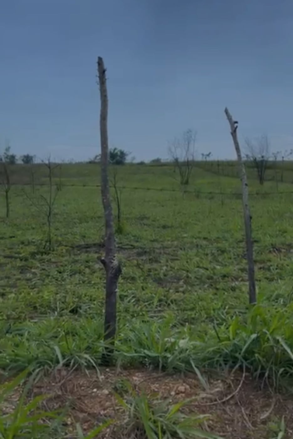 Terreno en venta en Guayacanes – foto 1