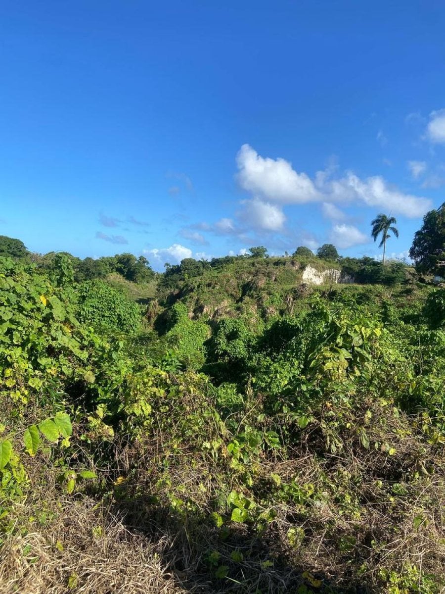Terreno en Venta en Río San Juan, Santa Lucía – foto 4