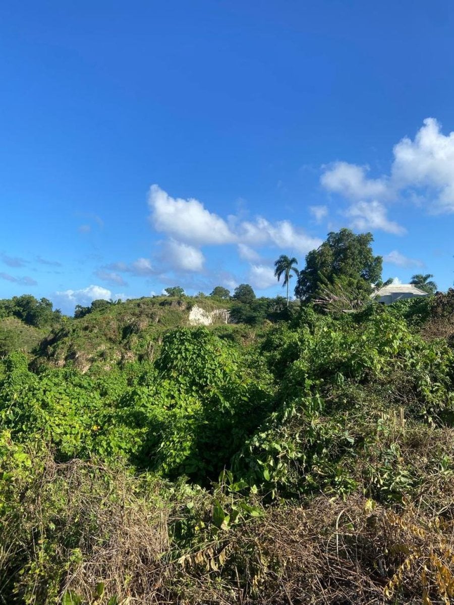 Terreno en Venta en Río San Juan, Santa Lucía – foto 7