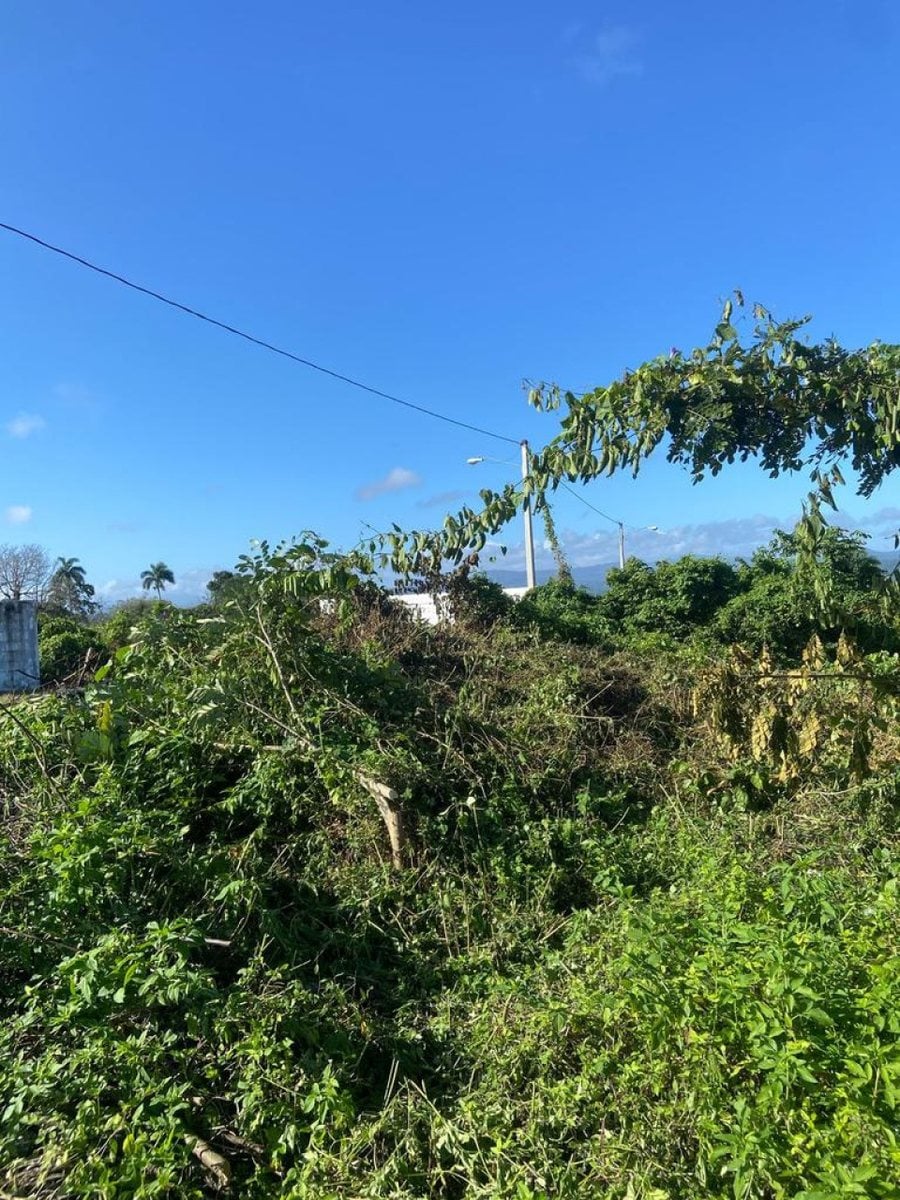 Terreno en Venta en Río San Juan, Santa Lucía – foto 1