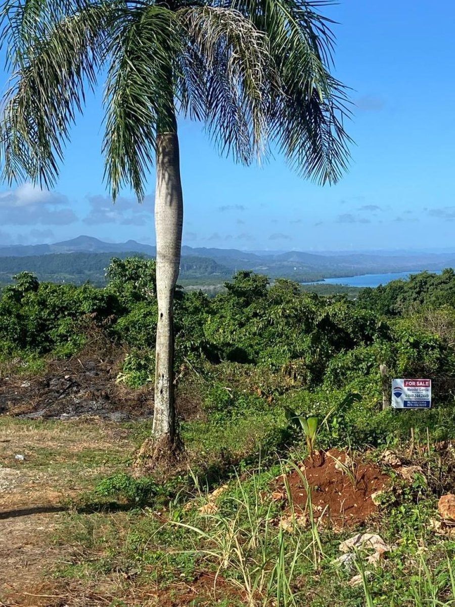 Terreno en Venta en Río San Juan, Santa Lucía – foto 5