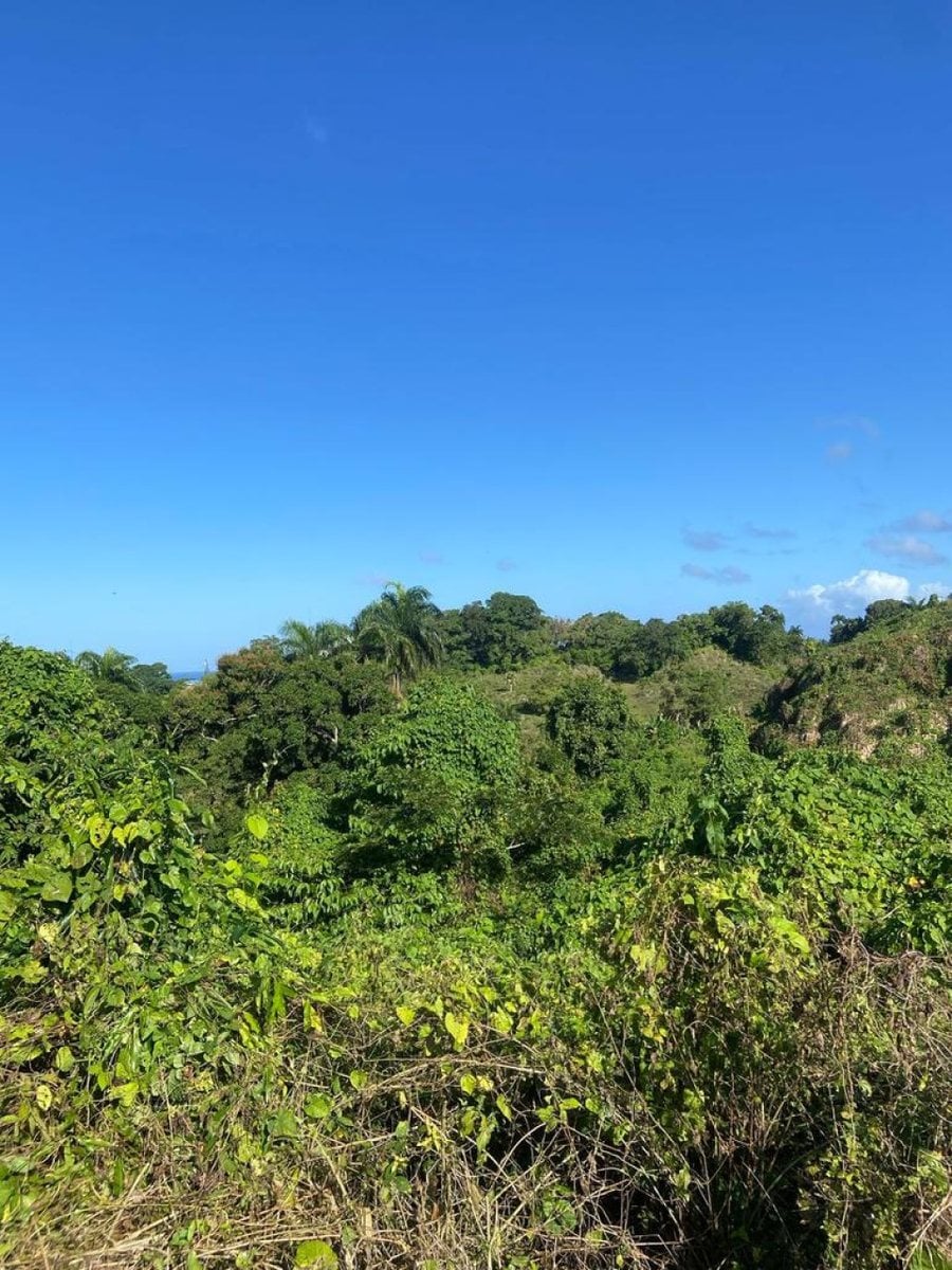 Terreno en Venta en Río San Juan, Santa Lucía – foto 8