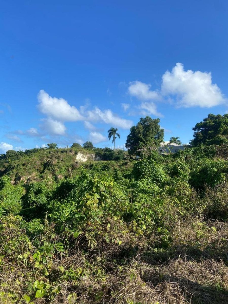 Terreno en Venta en Río San Juan, Santa Lucía – foto 6