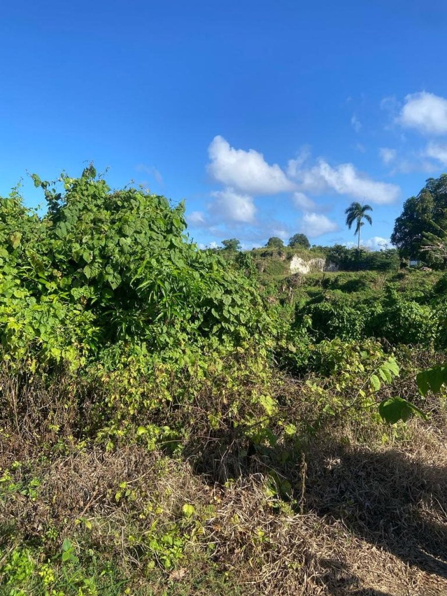 Terreno en Venta en Río San Juan, Santa Lucía – foto 9