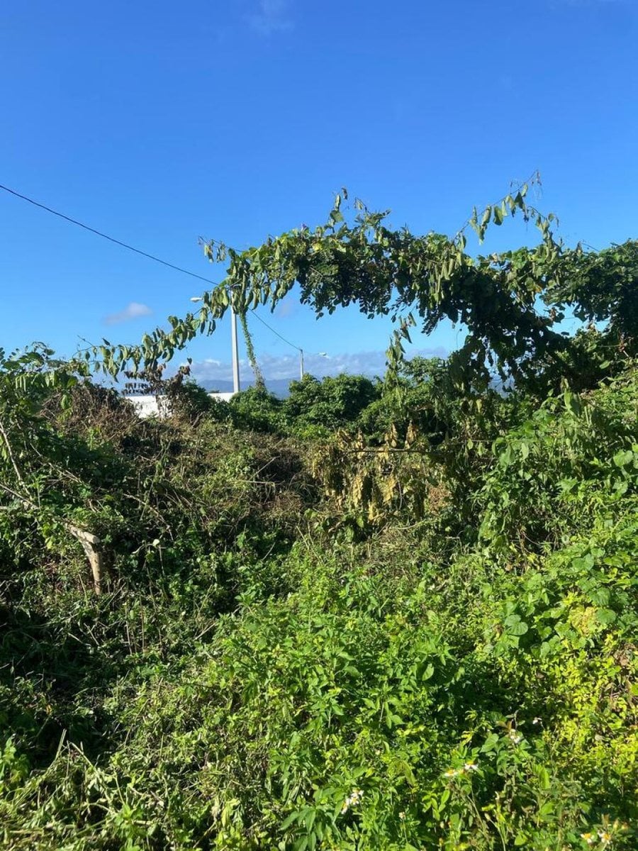 Terreno en Venta en Río San Juan, Santa Lucía – foto 2