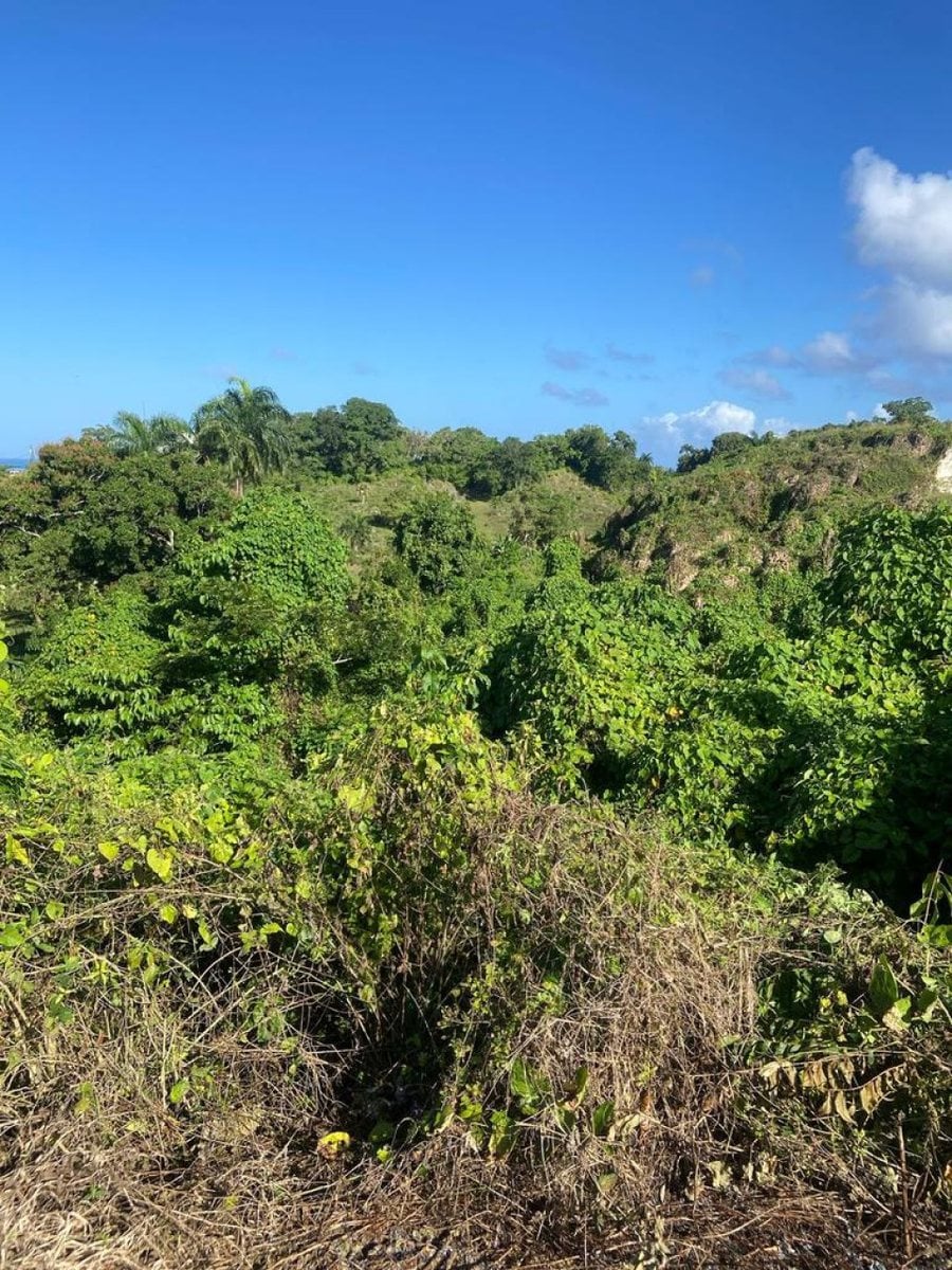 Terreno en Venta en Río San Juan, Santa Lucía – foto 3