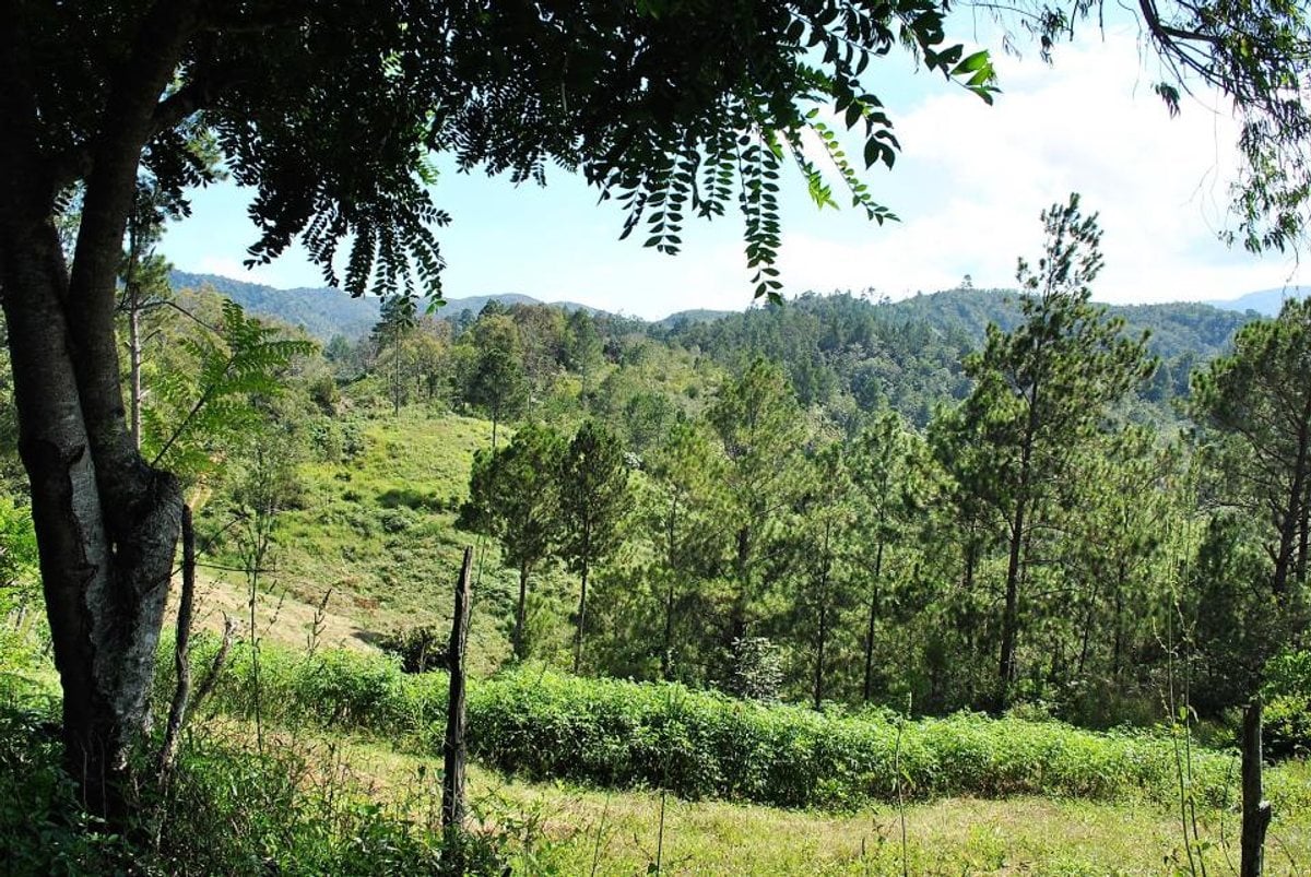 Finca en Constanza, La Descubierta – foto 7