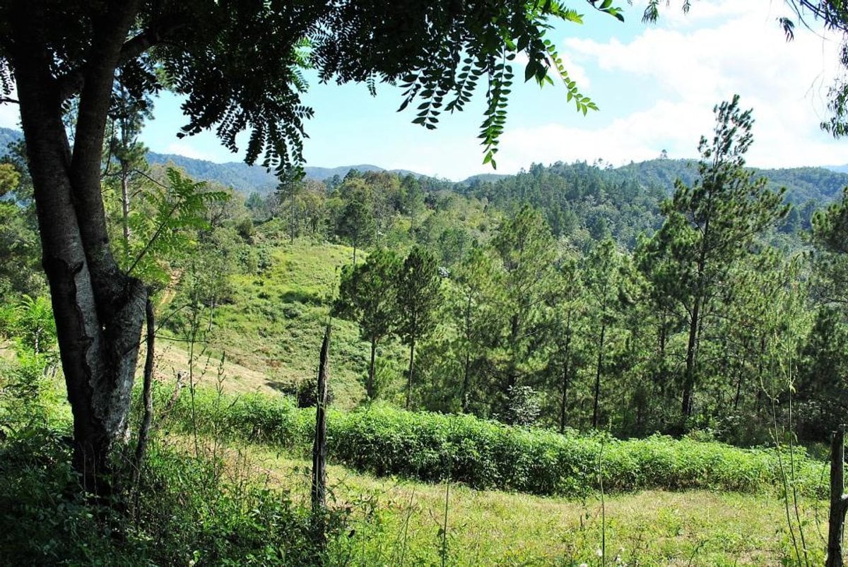 Finca en Constanza, La Descubierta – foto 3