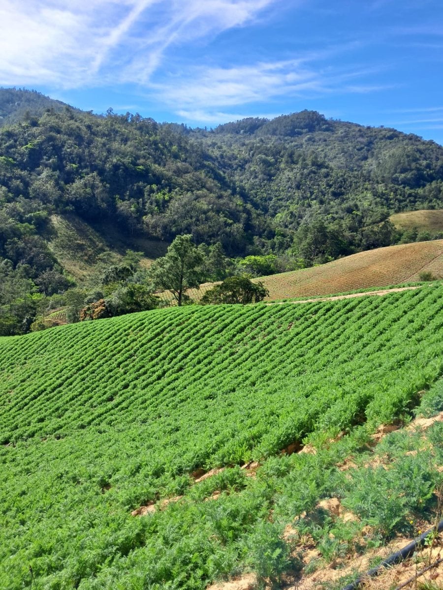Terreno en Constanza, La Vega - 228258 m² – foto 2
