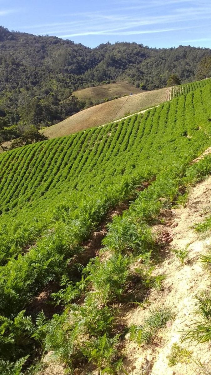 Terreno en Constanza, La Vega - 228258 m² – foto 5
