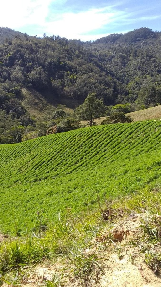 Terreno en Constanza, La Vega - 228258 m² – foto 6