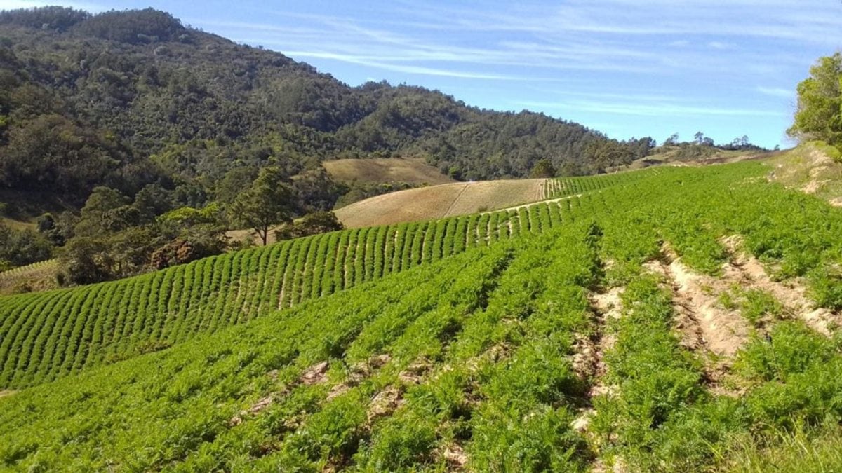 Terreno en Constanza, La Vega - 228258 m² – foto 4