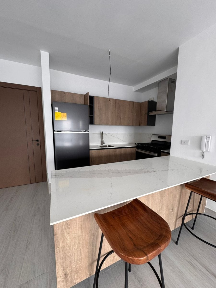 Apt Piantini 1H Vista Ciudad – foto 4