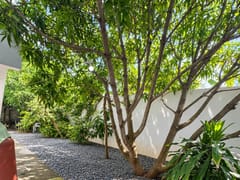 Casa en alquiler para Vivienda o local comercial – foto 6