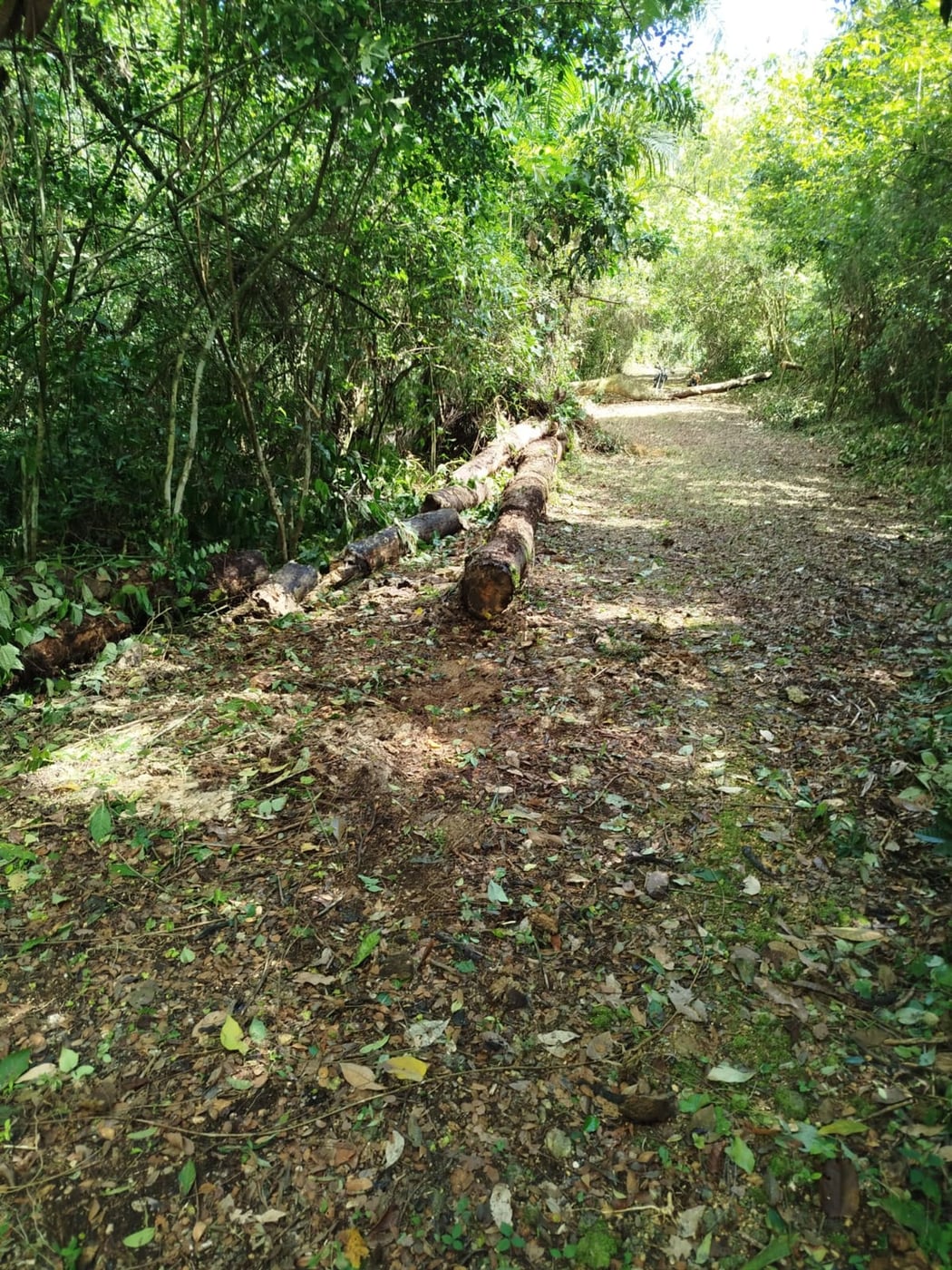TERRENO EN VENTA EN LAS TERRENAS SAMANÁ – foto 2